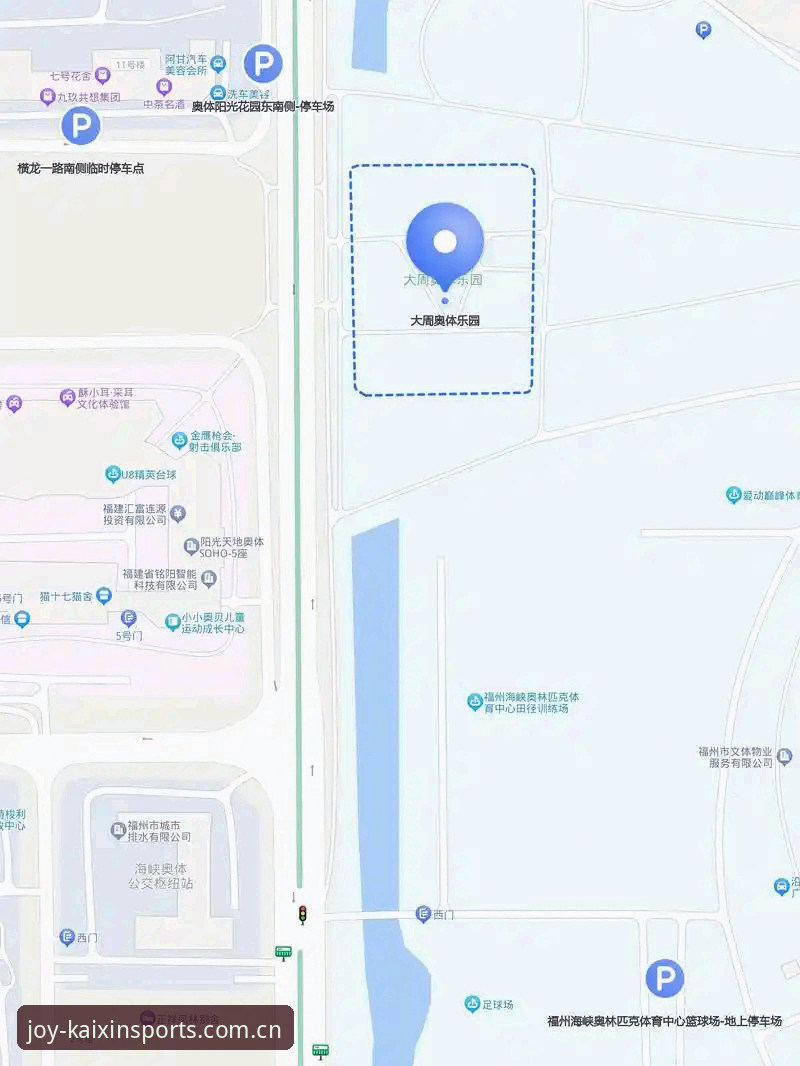 开心平台体育下载选择详解：官方正版与功能对比